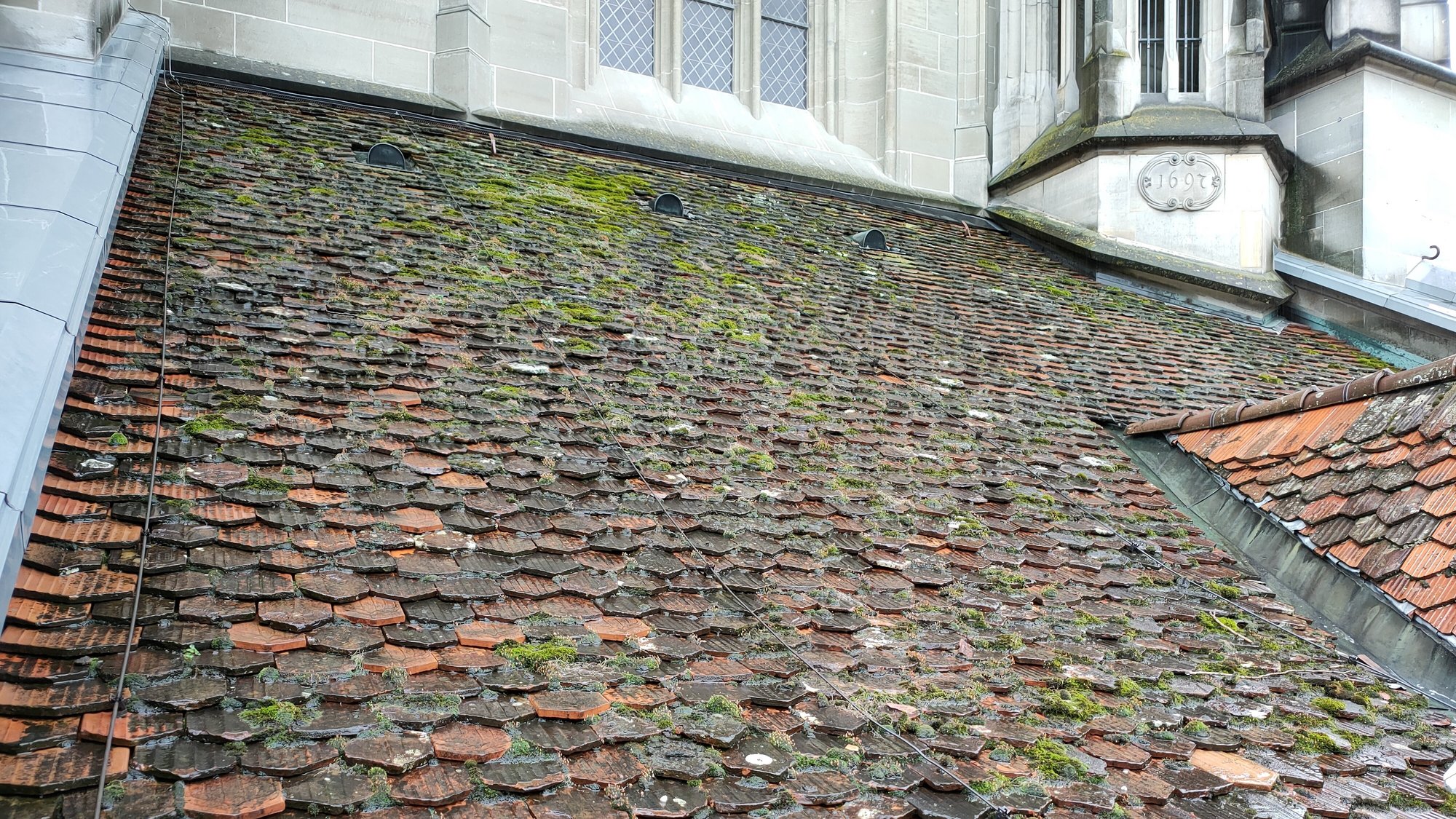 The moss-covered roof of Bern Minster