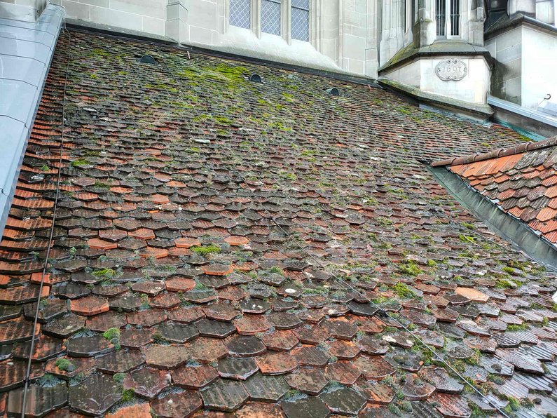 Dach mit Moosbewuchs am Berner Münster